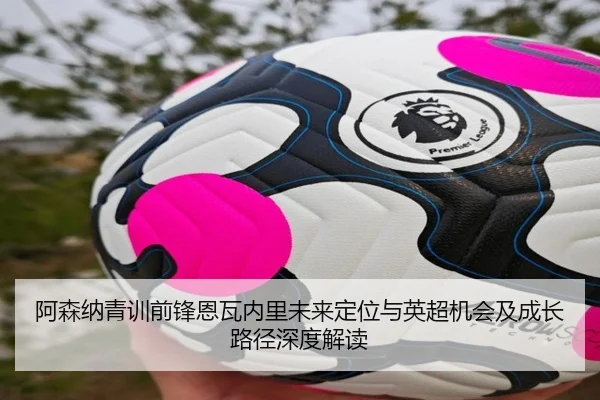阿森纳青训前锋恩瓦内里未来定位与英超机会及成长路径深度解读